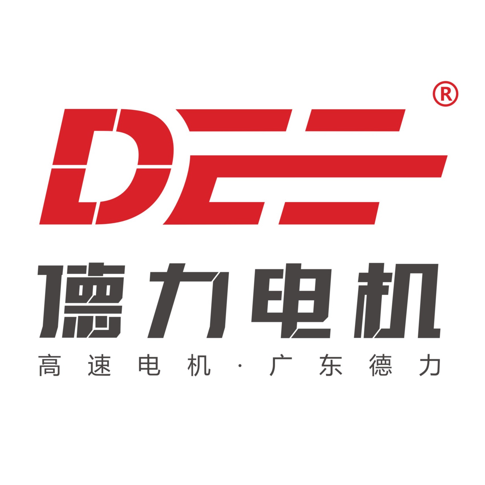 广东德力电机制造有限公司