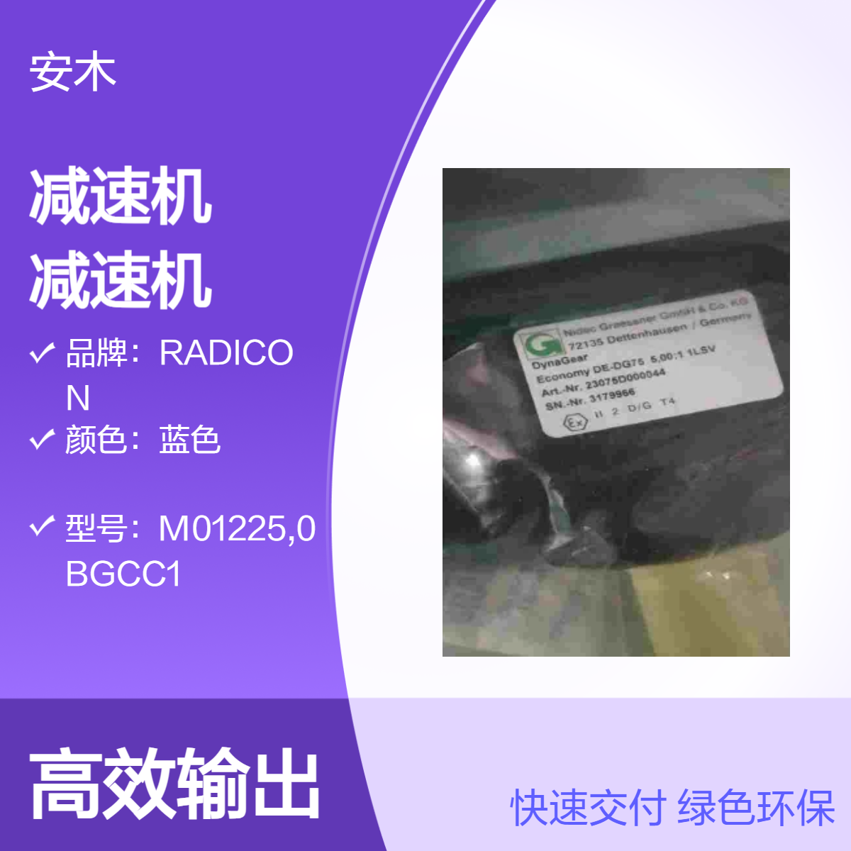 MS-Graessner行星减速机MS-Graessner蜗杆齿轮减速机P140FL 100:1