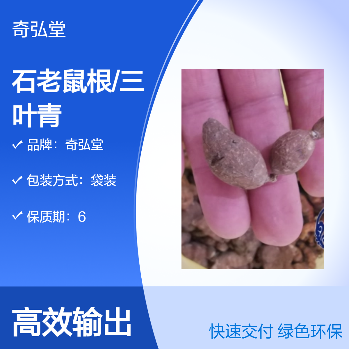 奇弘堂出售野生石老鼠根 /蛇附子金线吊葫芦石猴子三叶青/产地批发