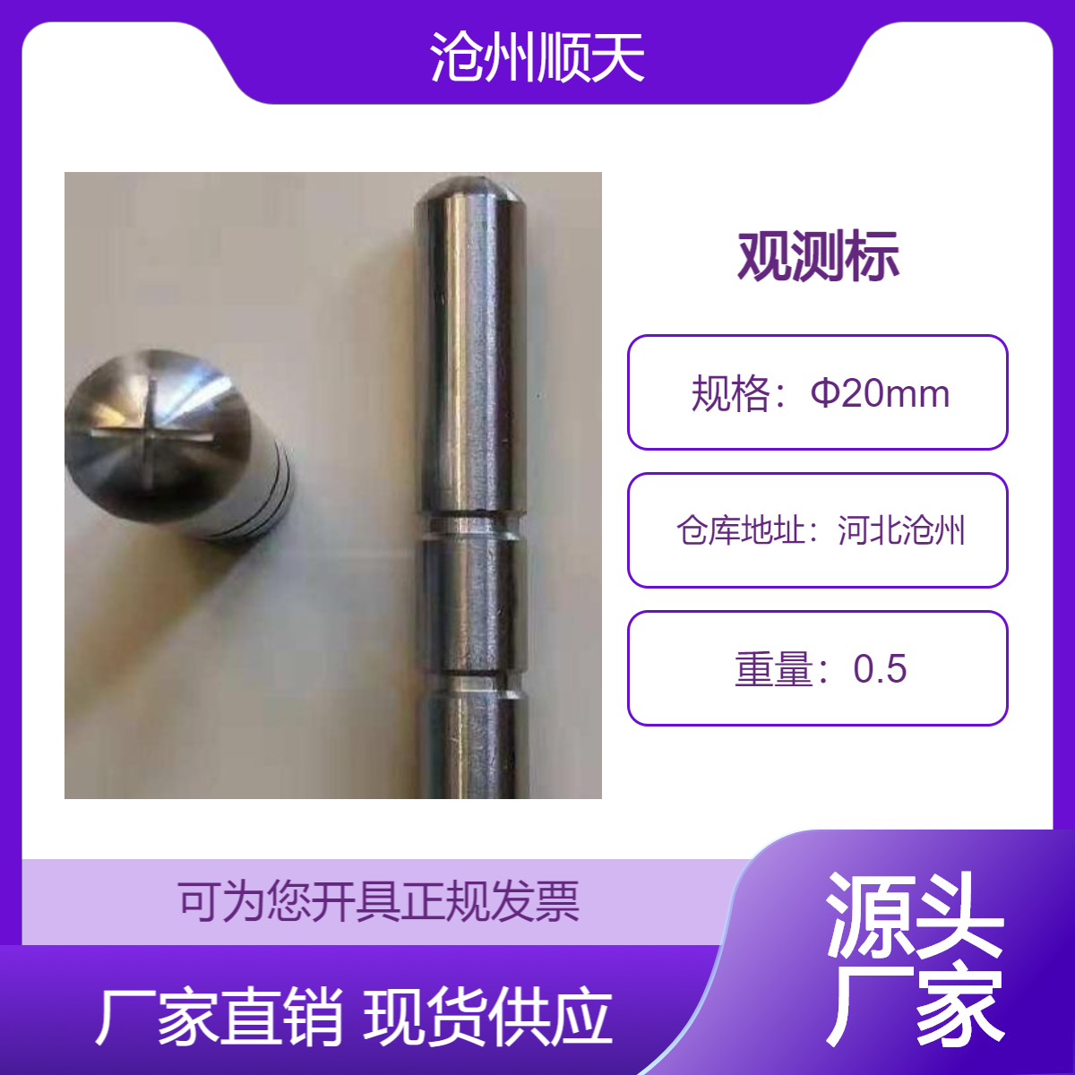 酒 泉观测标直型L型观测点规格型号全顺天直供