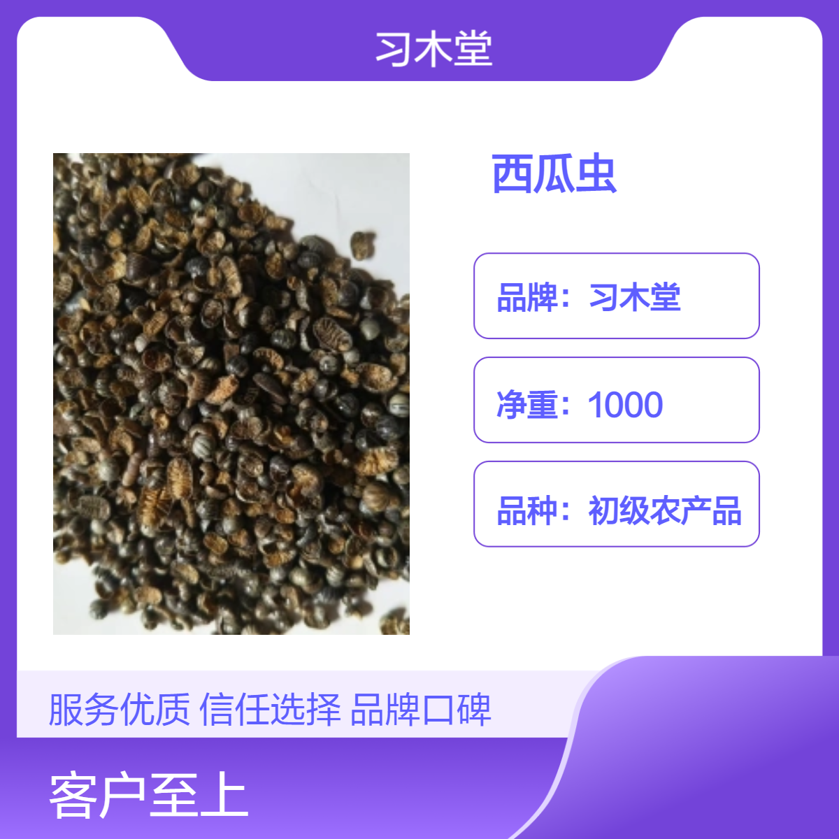 习木堂批发中药材西瓜虫 鼠妇虫 潮虫干品 当年新货