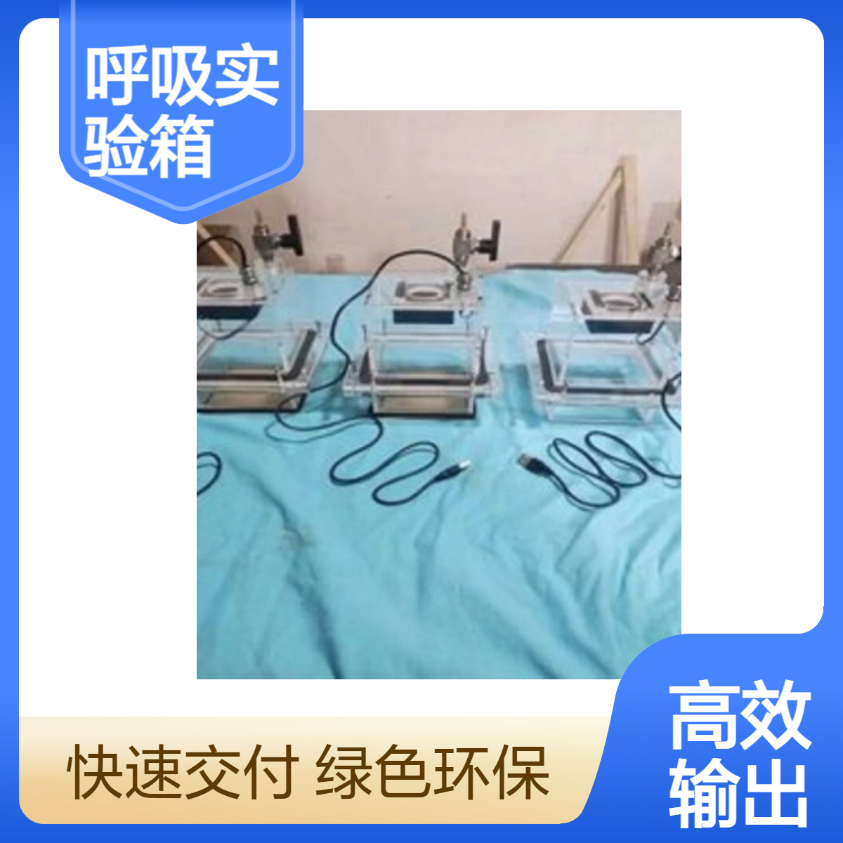 有机玻璃动物呼吸实验箱全透明小动物试验密封舱定做加工密封舱