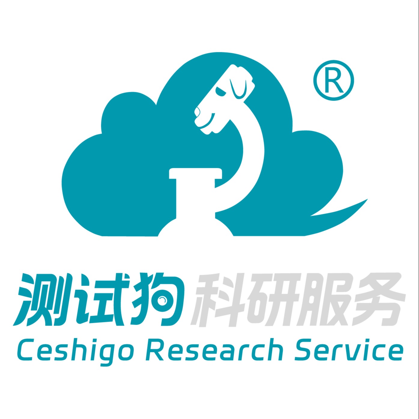 成都世纪美扬科技有限公司