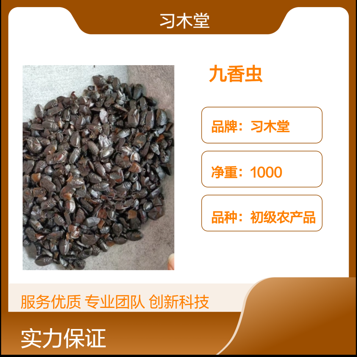 中药材九香虫的功效 各种规格 品质保证 一斤包邮 全国发货