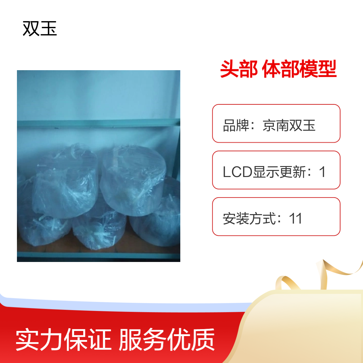 京南双玉品牌 5N测量力头部体部模型 专业教学工具
