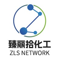 上海臻丽拾网络科技有限公司