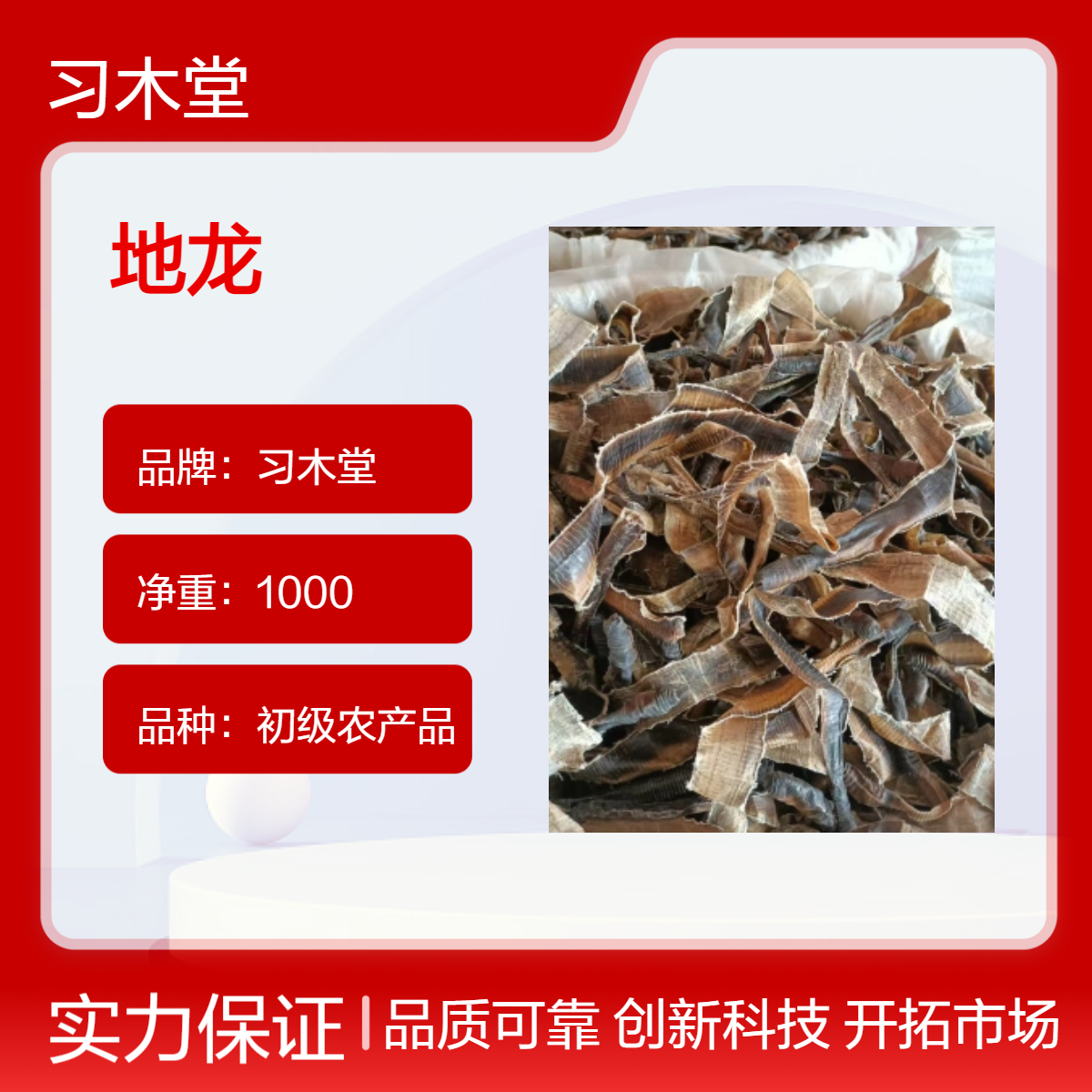 批发中药材蚯蚓干 地龙干 道地药材 烘干品质 正宗
