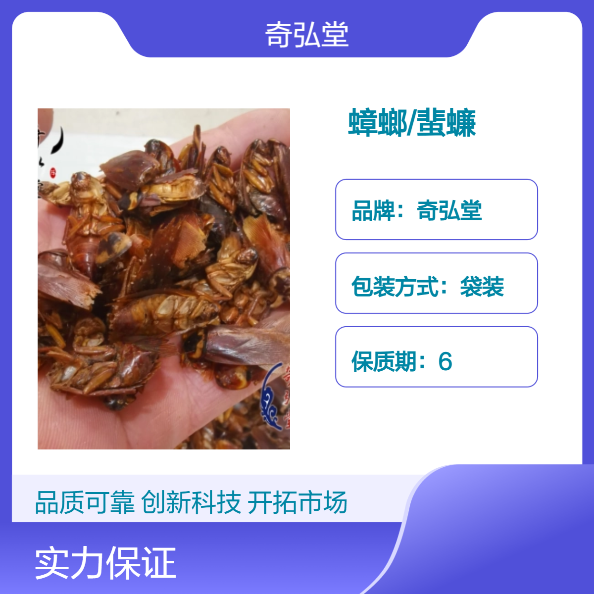 奇弘堂野生原药材蟑螂/偷油婆 产地批发 一手货源