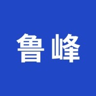 泰安市鲁峰电工科技有限公司 - 公司logo