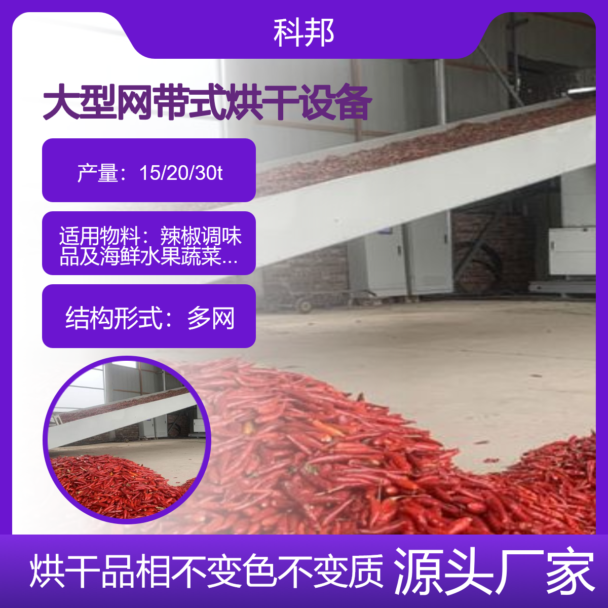 大型网带烘干设备热泵烘房烘干机挂面条辣椒海鲜水果腊肉蔬菜烘箱
