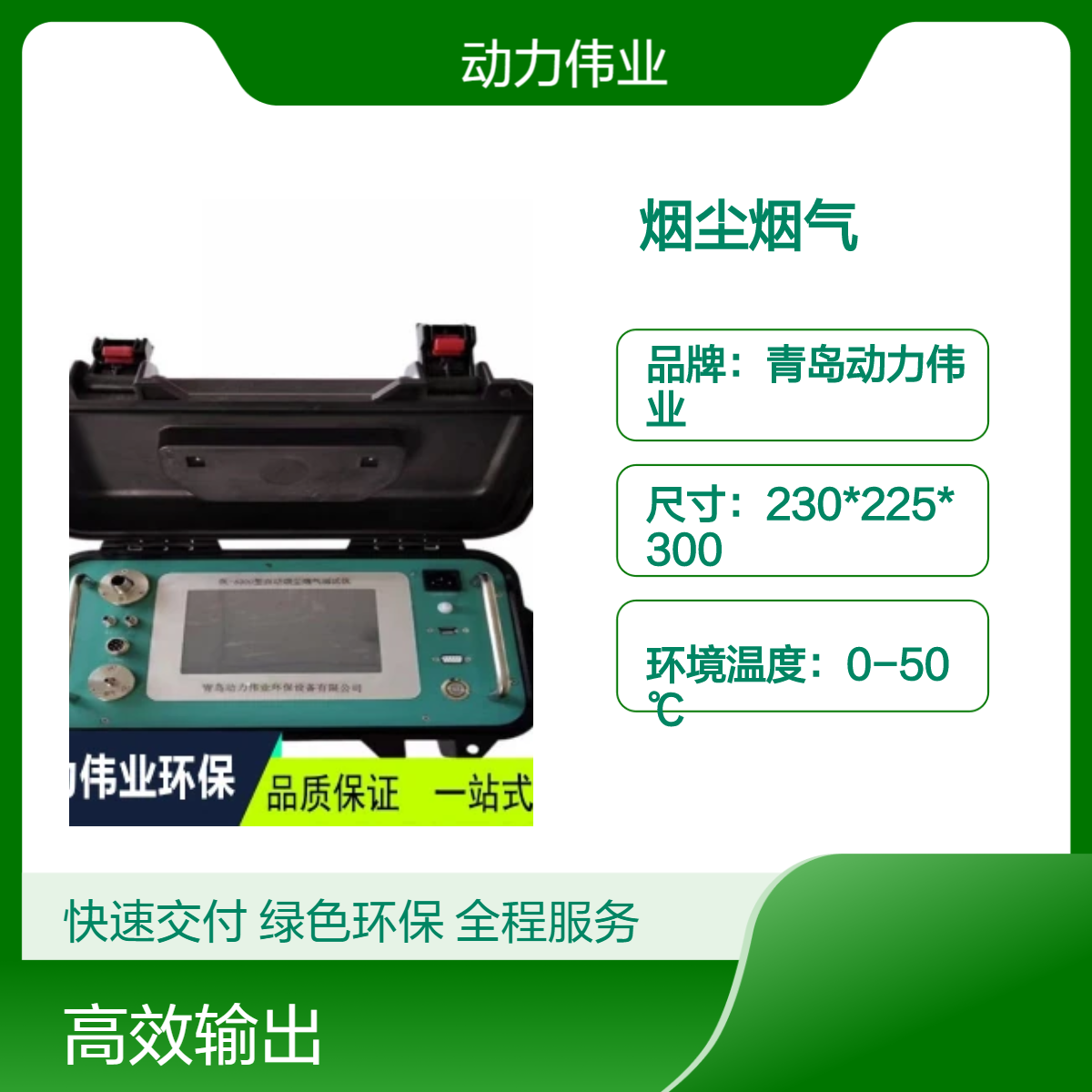 固定污染源废气 DL-6300型自动烟尘烟气测试仪内置电源