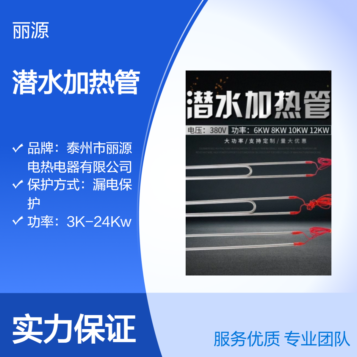 丽源电热不锈钢潜水式电加热管 12管径 漏电保护 国标品质源头厂家