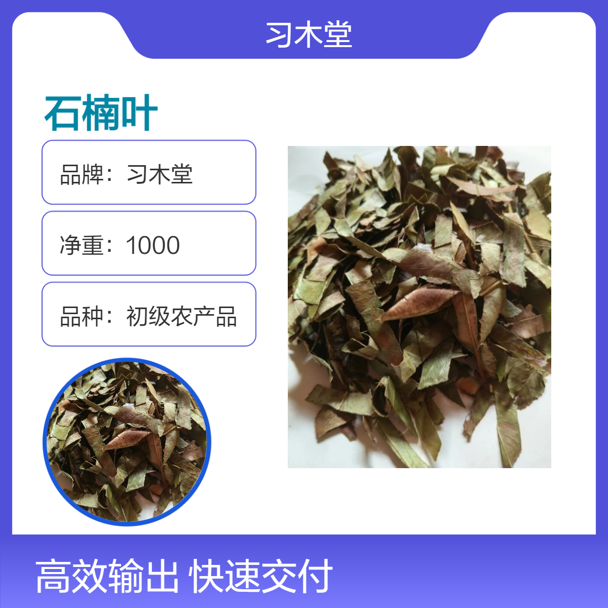 批发 各种 中草药 红树叶 石苇 十大功劳叶 当年新货 无硫 正宗