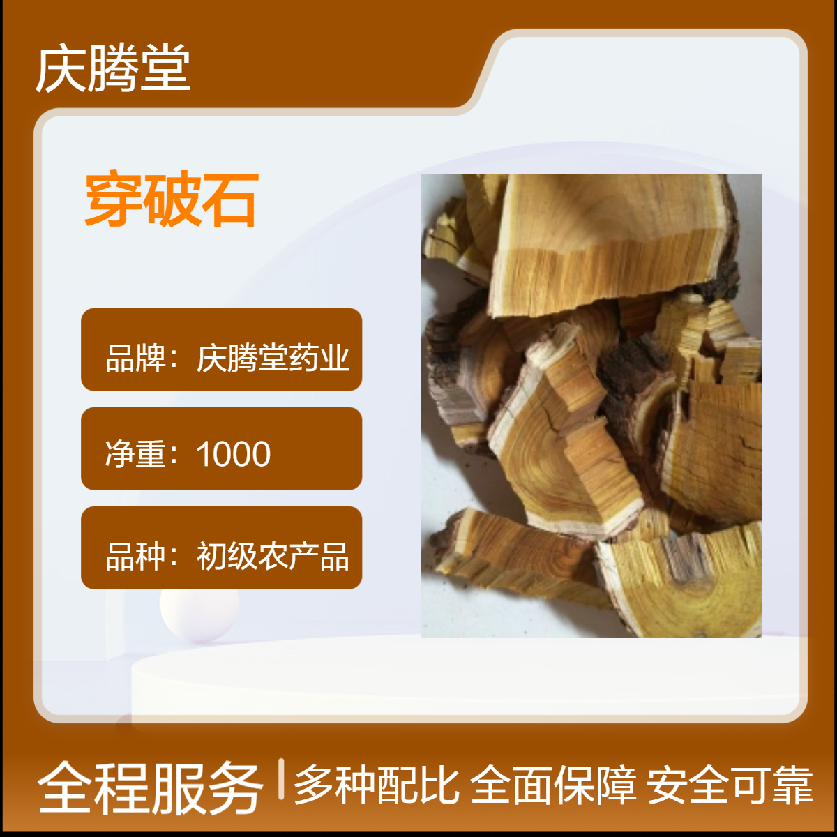 供应中药材穿破石 柘木 地锦根 新货 产地供应 保质保量