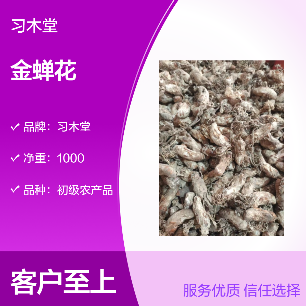 习木堂供应金蝉花 蝉蜕 新货 精选 无硫 自然晾晒 保证质量