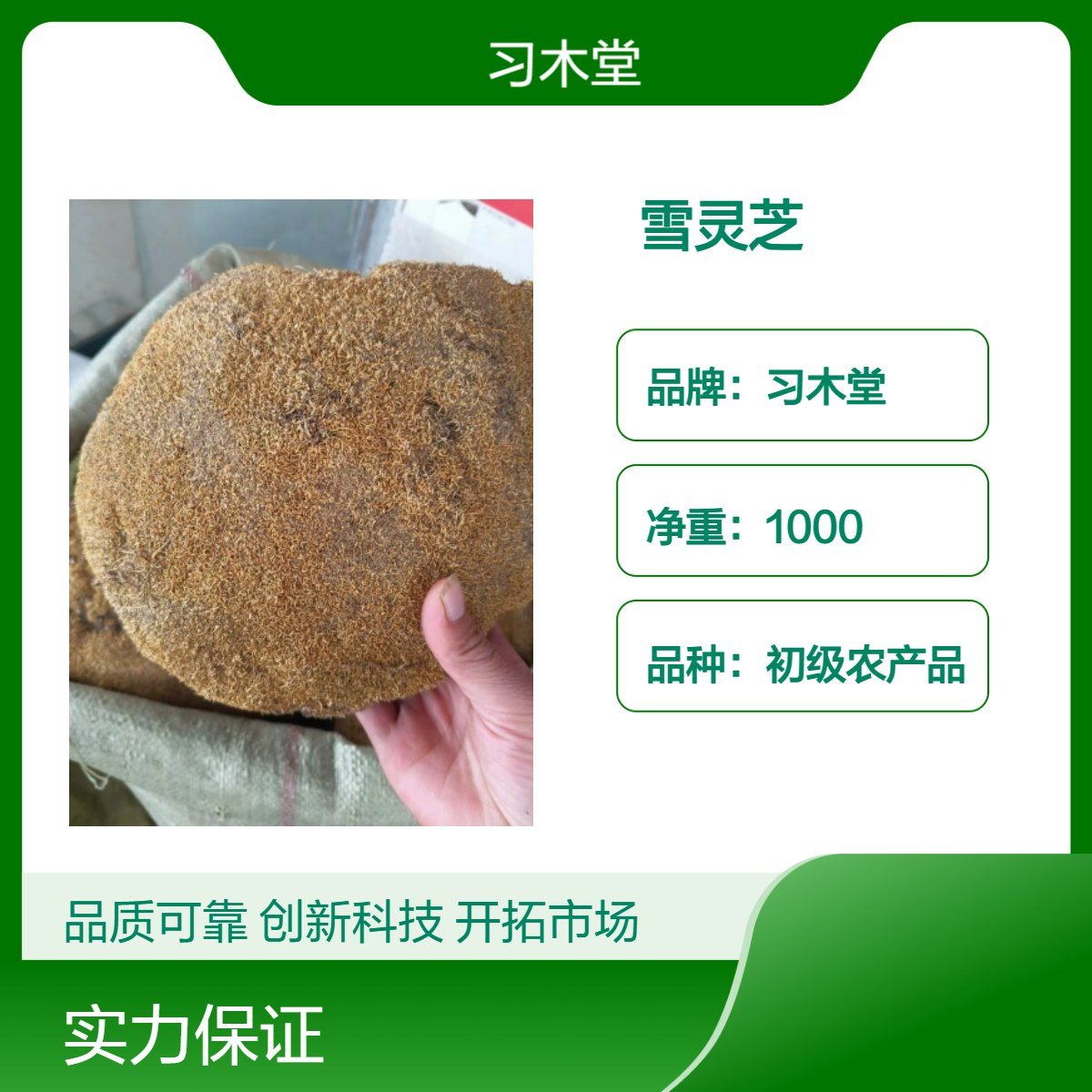 习木堂供应中药材雪灵芝 新货 产地直售 烘干品质 包邮