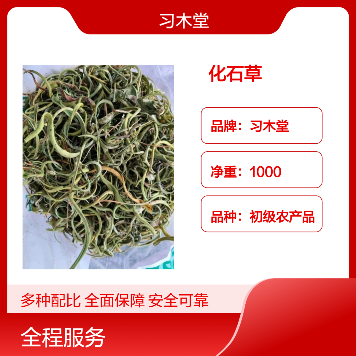 习木堂化石草 新货 烘干品质 产地供应 各种规格 包邮