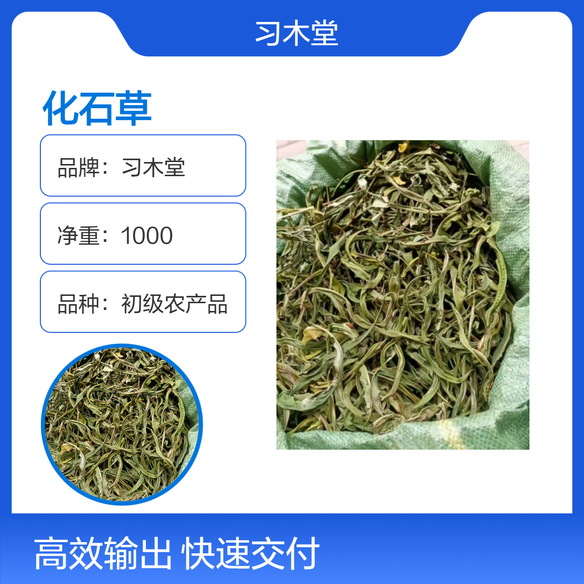 供应中药材化石草 肾精草 猫须草 新货 无硫 无杂质 自然晾晒