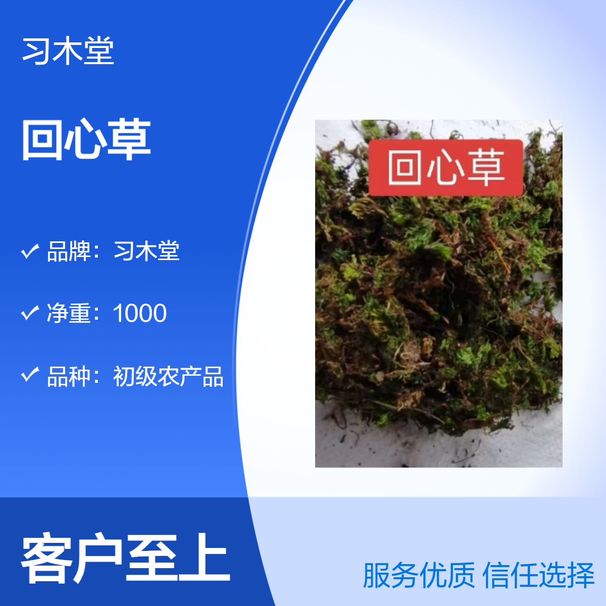 习木堂供应冷背药材回心草 回春草 新货无硫 烘干品质