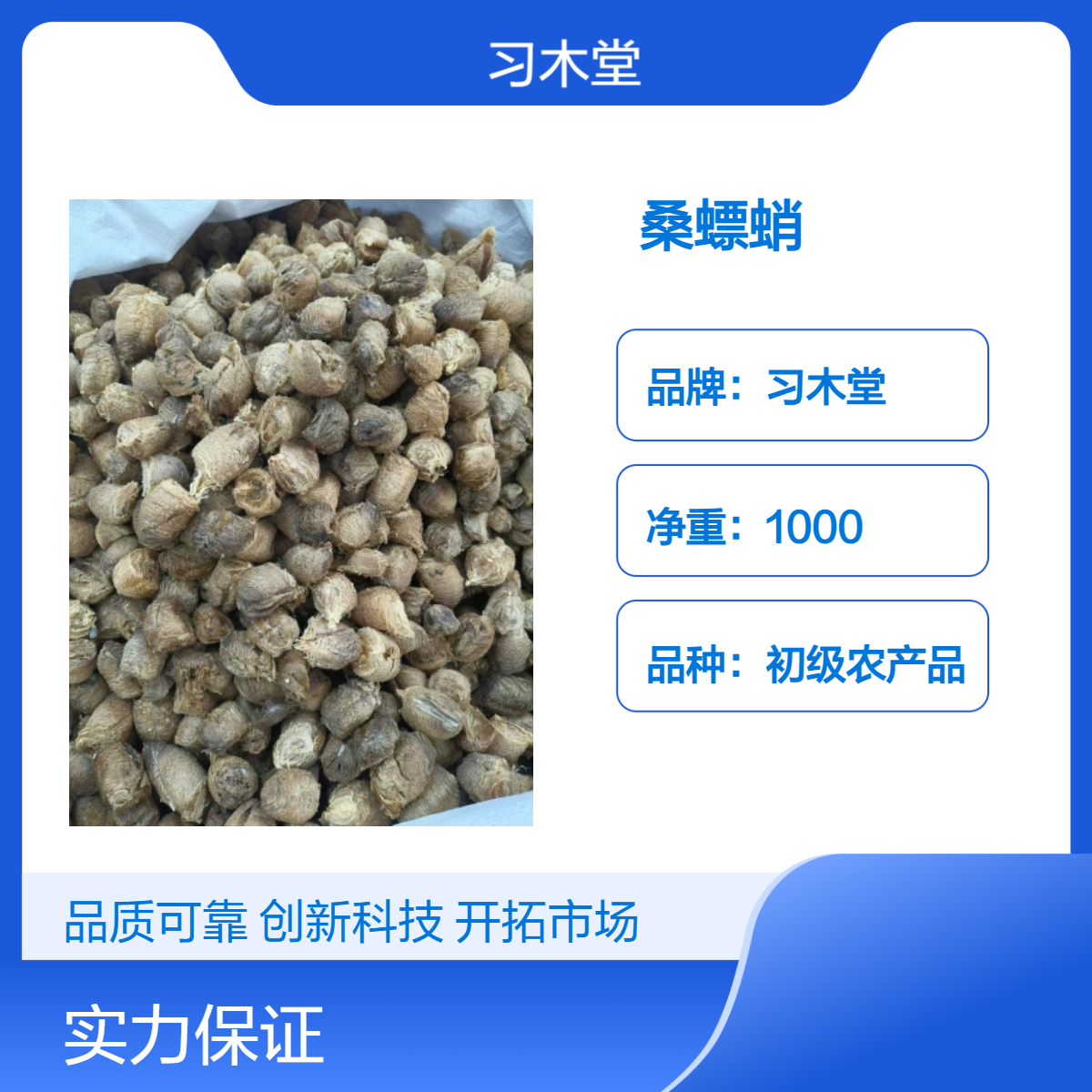 桑蛸 螳螂壳 刀螂子 新货 正品 烘干品质 产地直发 包邮
