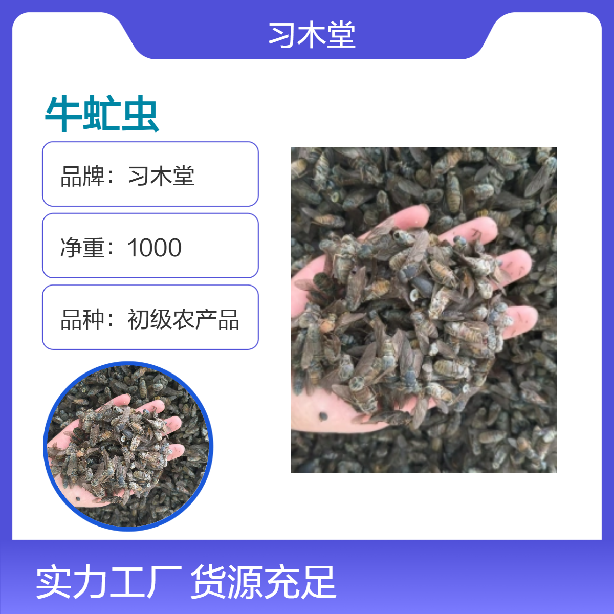 供应中药材虻虫 牛蚊子 牛苍蝇 新货 无硫 自然晾晒 保质保量
