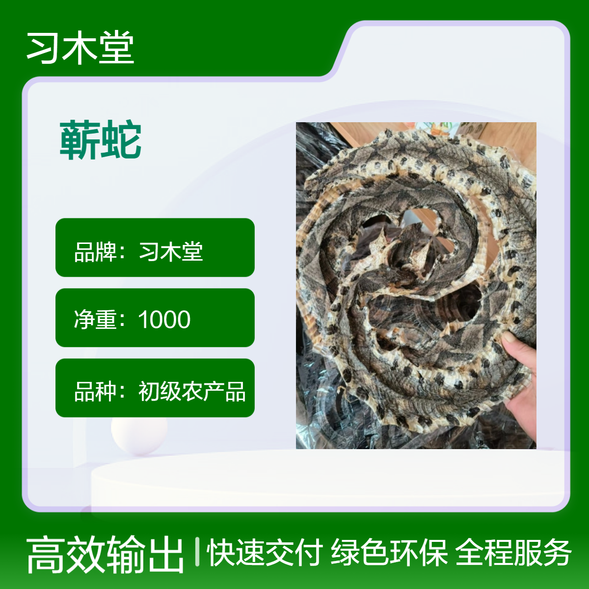 批发冷背药材蕲蛇 金钱白花蛇 新货 无硫 烘干品质 产地供应