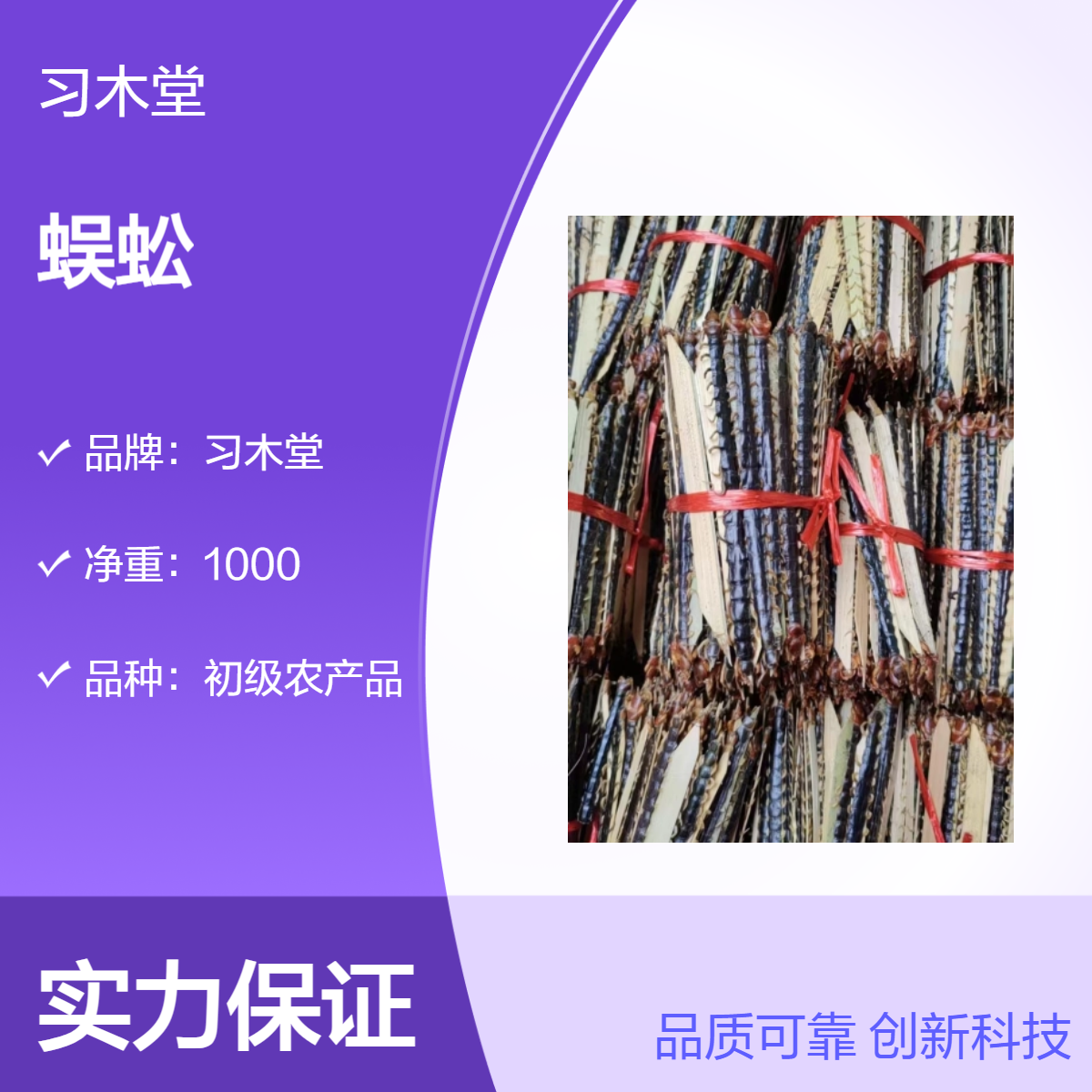 习木堂批发中药材蜈蚣 各种规格 新货 品质保证 烘干品质