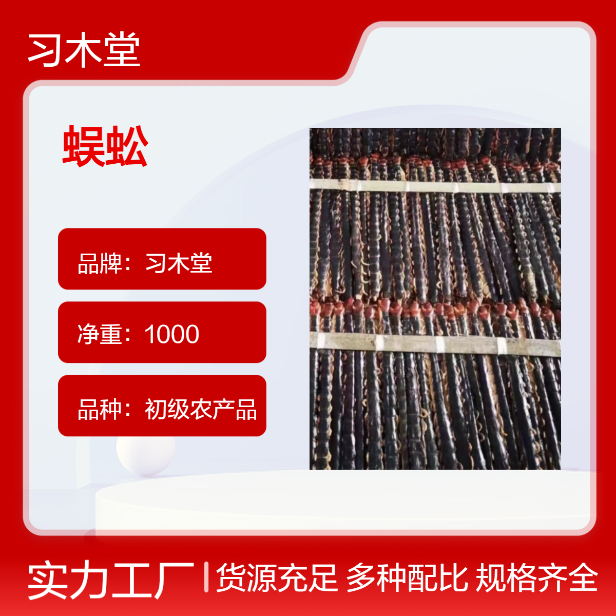 批发中药材百足虫 千足虫 蜈蚣 各种规格 产地直发 正品