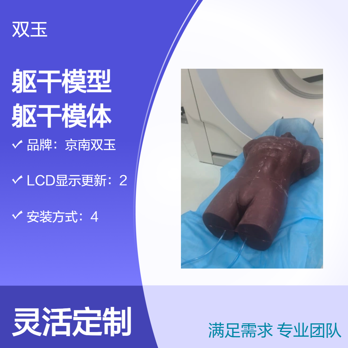 核磁CT扫描成人躯干模型动态躯干模体教学训练模体