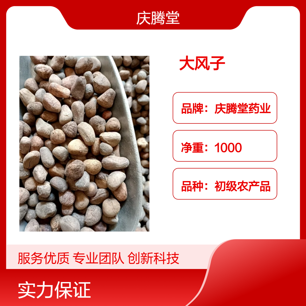 供应中药材大风子 大风子仁 新货 无硫 自然晒干 品质保证