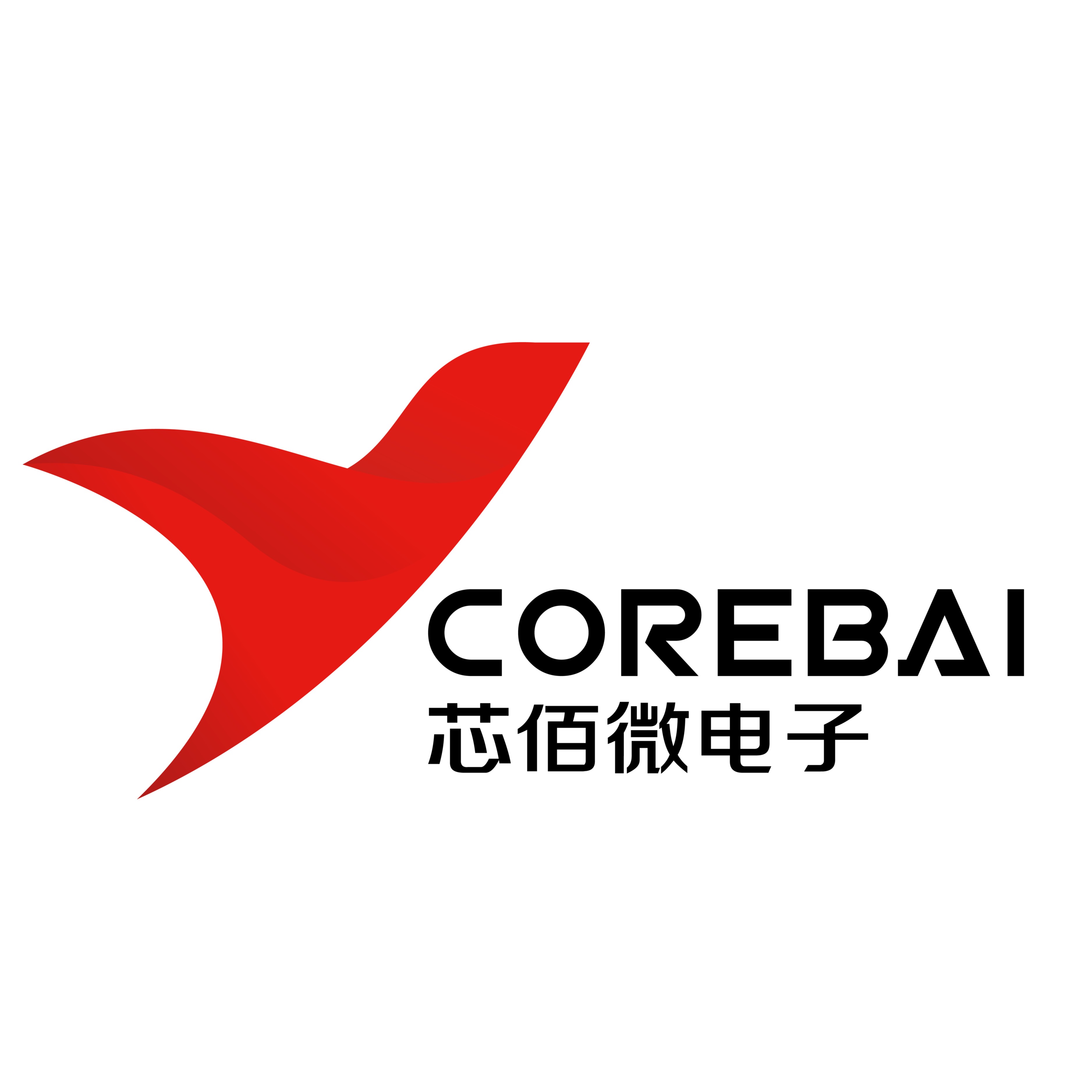 Xinbai Microelectronics (Beijing) Co., Ltd - Company Logo