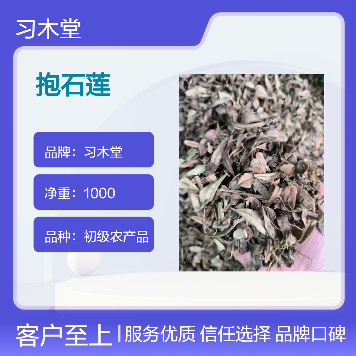 习木堂 抱石莲 新货 原药材 散装 自然晒干 保质保量 产地直售