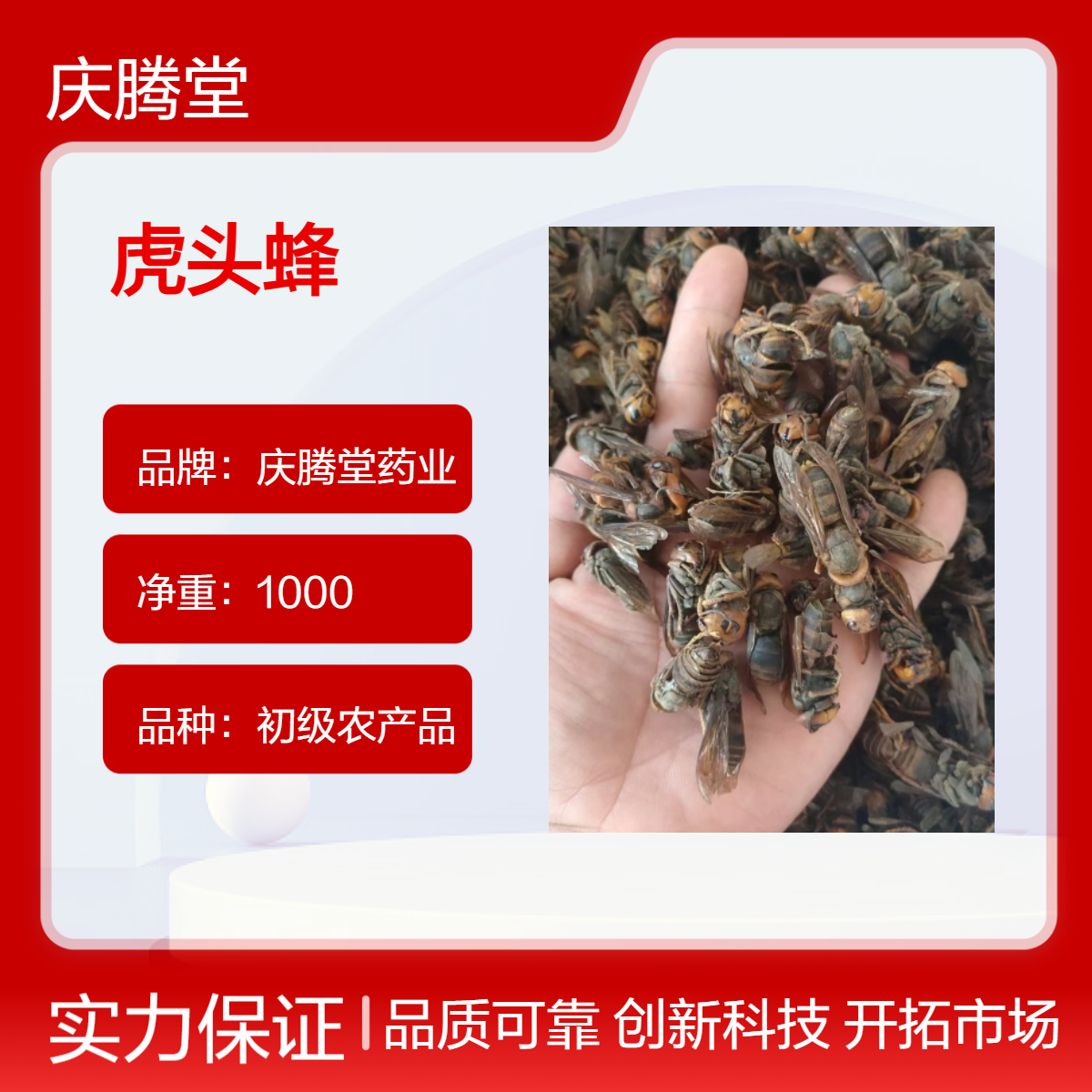 供应冷背药材虎头蜂 当季新货 无硫 各种规格齐全 全国发货
