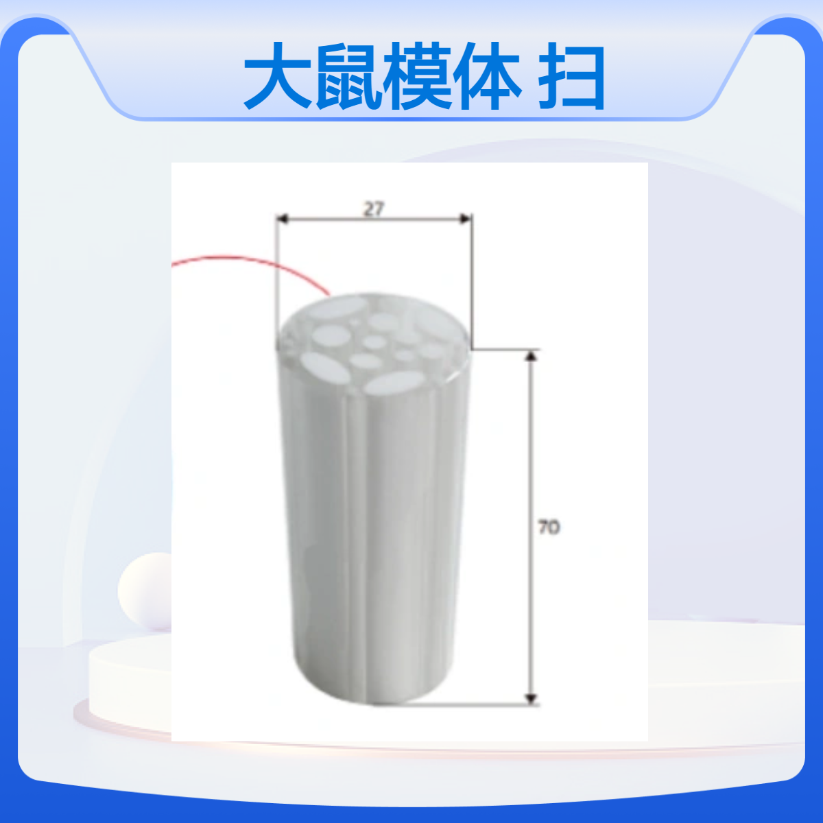 核磁CT超声大鼠模体圆柱型大鼠扫描模体rat phantom加工定做
