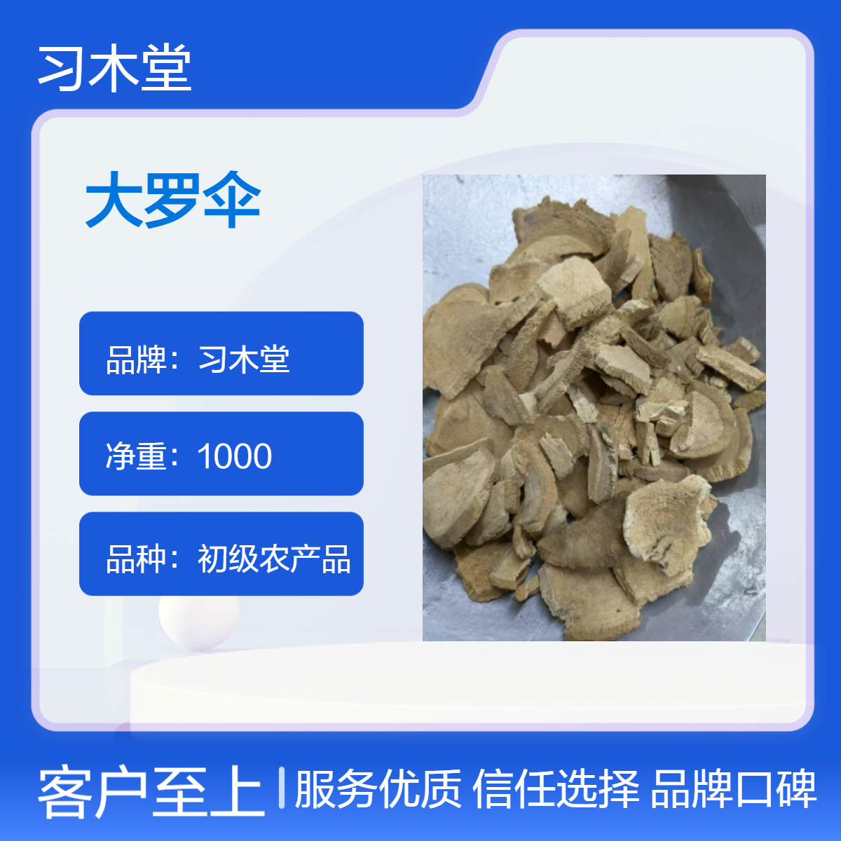 大罗伞 平地木 朱砂根 新货 无硫 批发 保质保量 产地直售