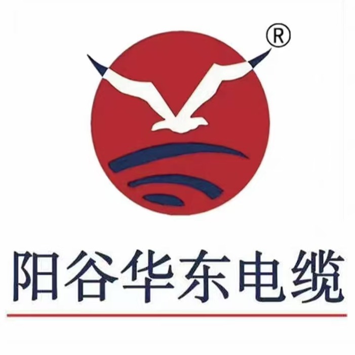 阳谷华东特种电缆有限公司
