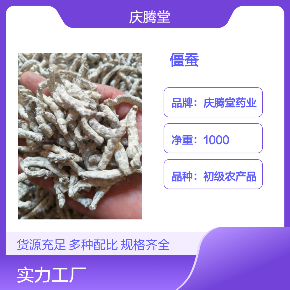 中药材僵蚕 蚕蛹 蚕沙 各种规格 新货 无硫 品质可靠