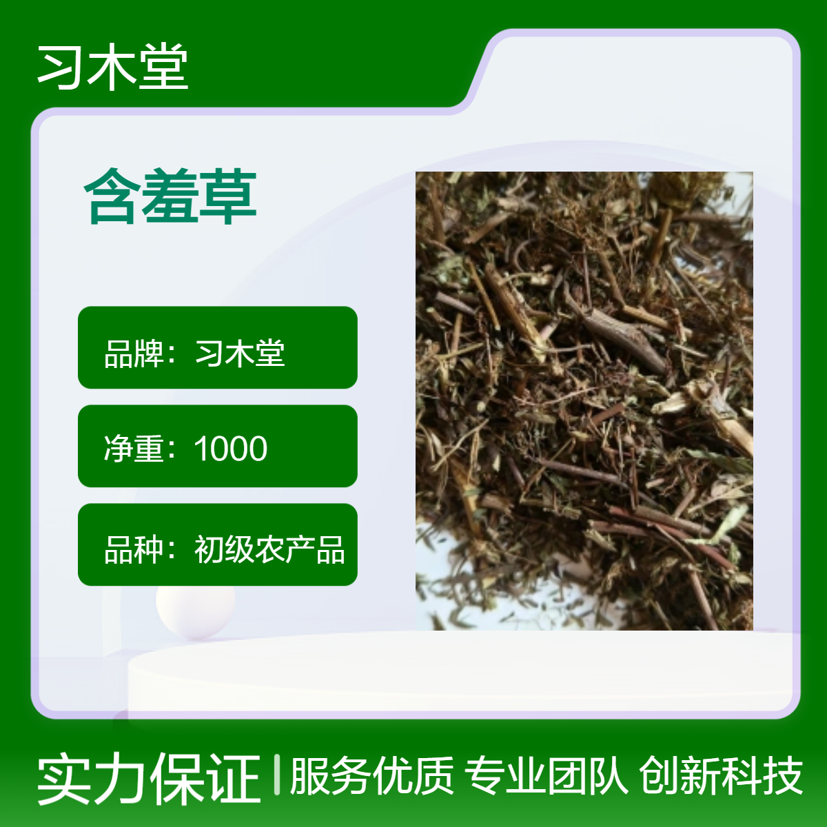 供应冷背药材 怕羞草 含羞草 一公斤包邮 新货 自然晒干