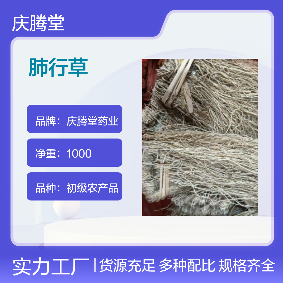 供应冷背药材 肺行草 各种规格 原产地种植 新货 无硫 自然晒干