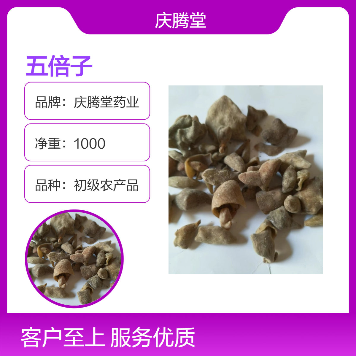 批发中药材五倍子 各种规格 新货 自然晒干 品质保证