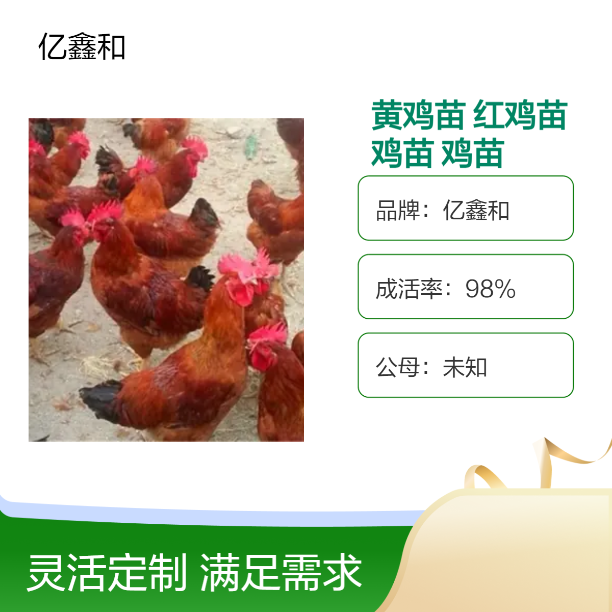 黄杂鸡红毛鸡苗 健壮成长4500g养殖优选九斤黄鸡苗九斤红鸡苗
