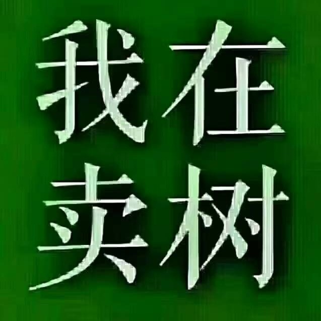 望都县立强苗木种植场（个体工商户）