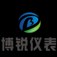 金湖博锐仪表有限公司