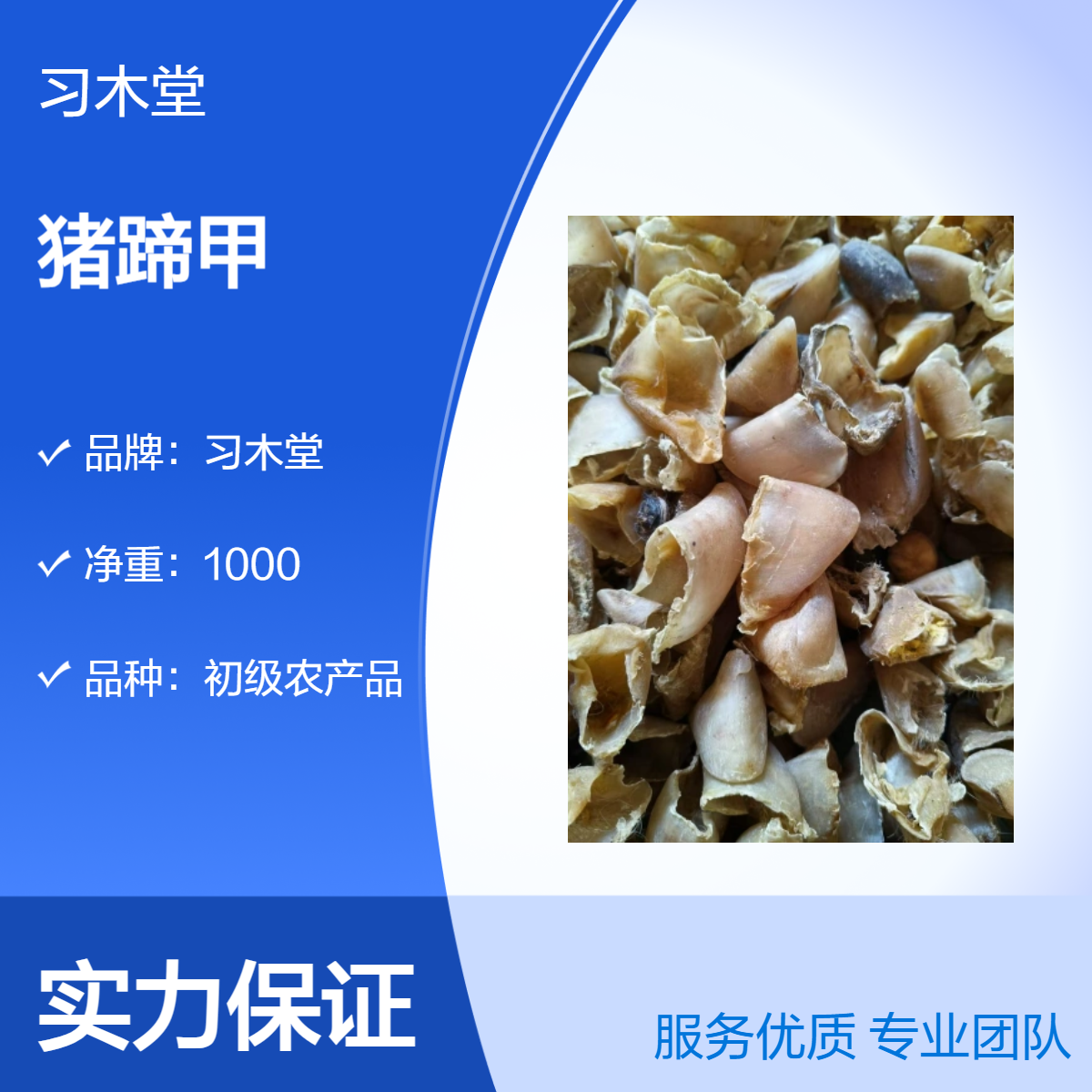 猪蹄甲各种规格 干净无杂质 品质好 习木堂 各种中药材供应