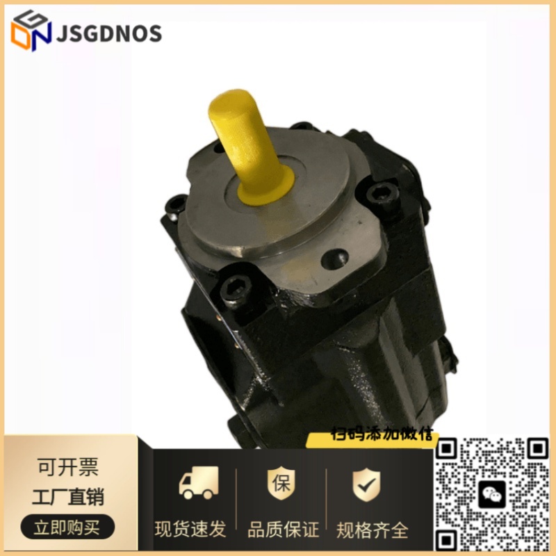 DENISON丹尼逊叶片柱塞泵PV20-2R10-C02 2R1D 1R1D 2R1C-C02-000油泵
