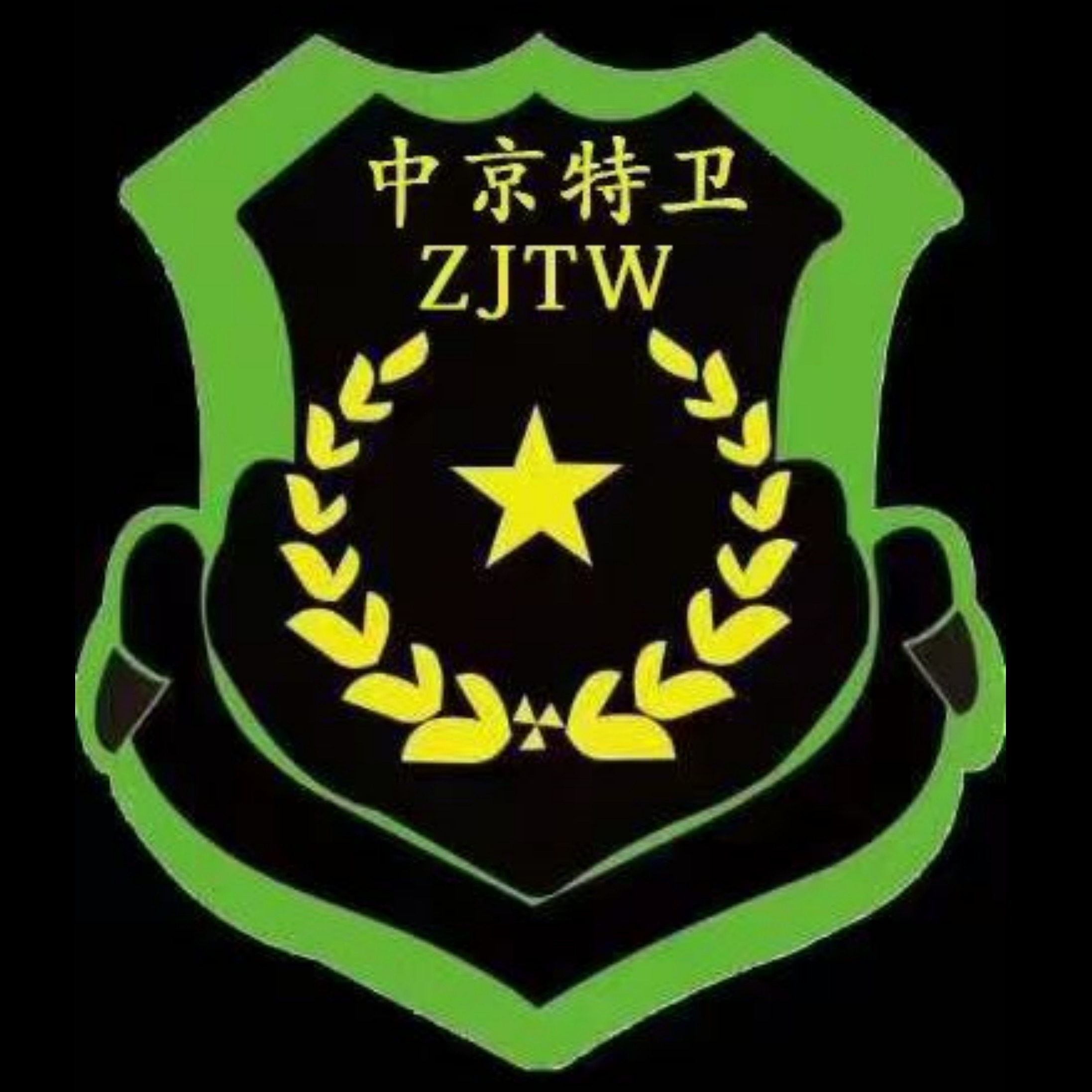 中京特卫安全顾问（北京）有限公司