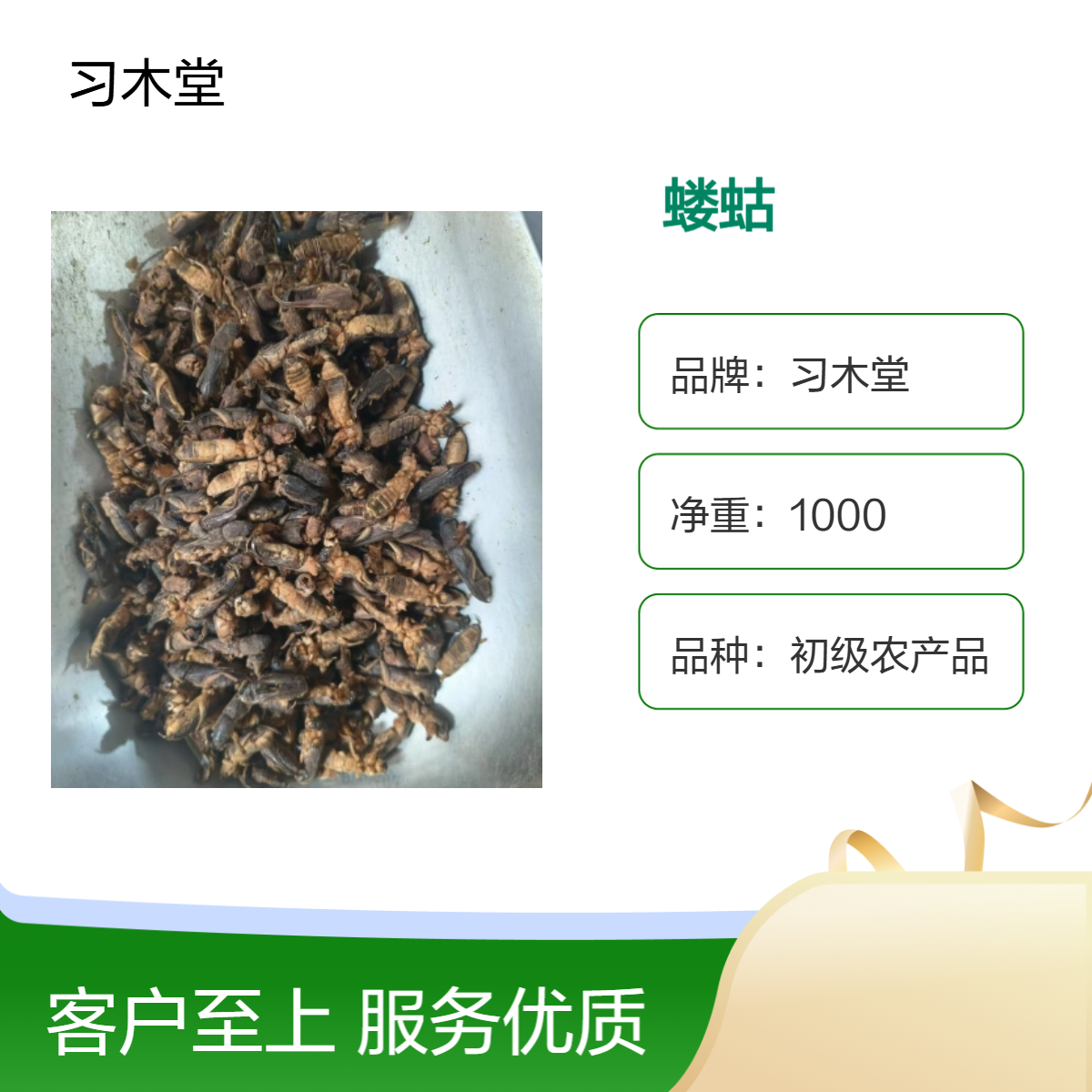中药材批发 蝼蛄 当季新货 精选 无硫 无杂质 常年供应各种昆虫