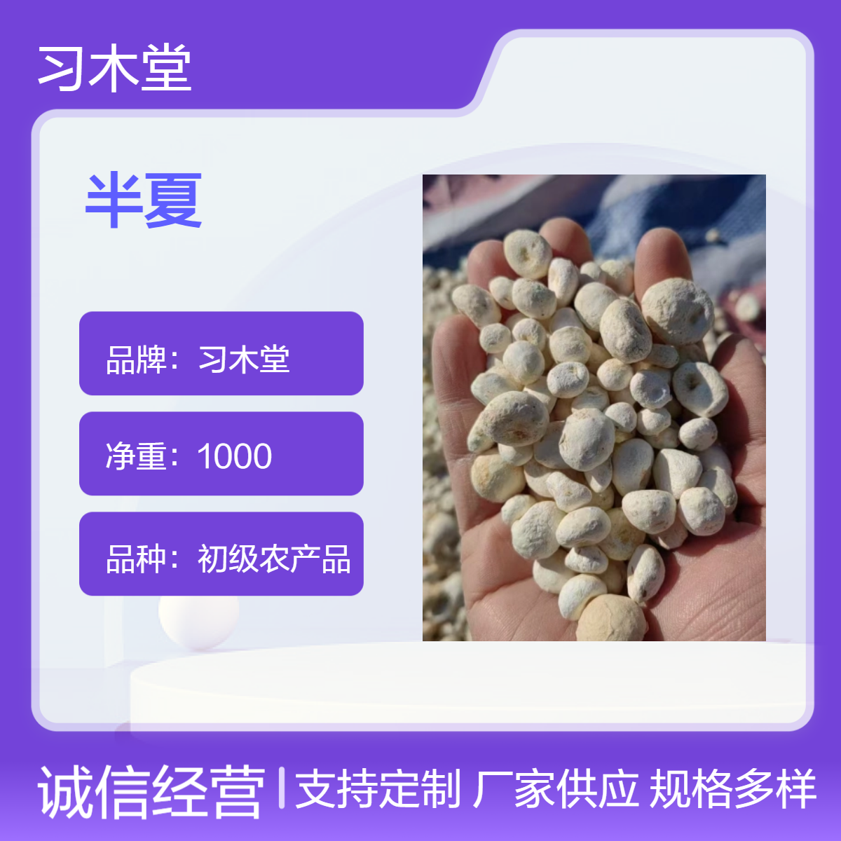 供应中药材半夏 新货 无硫 自然晒干 各种规格 品质好
