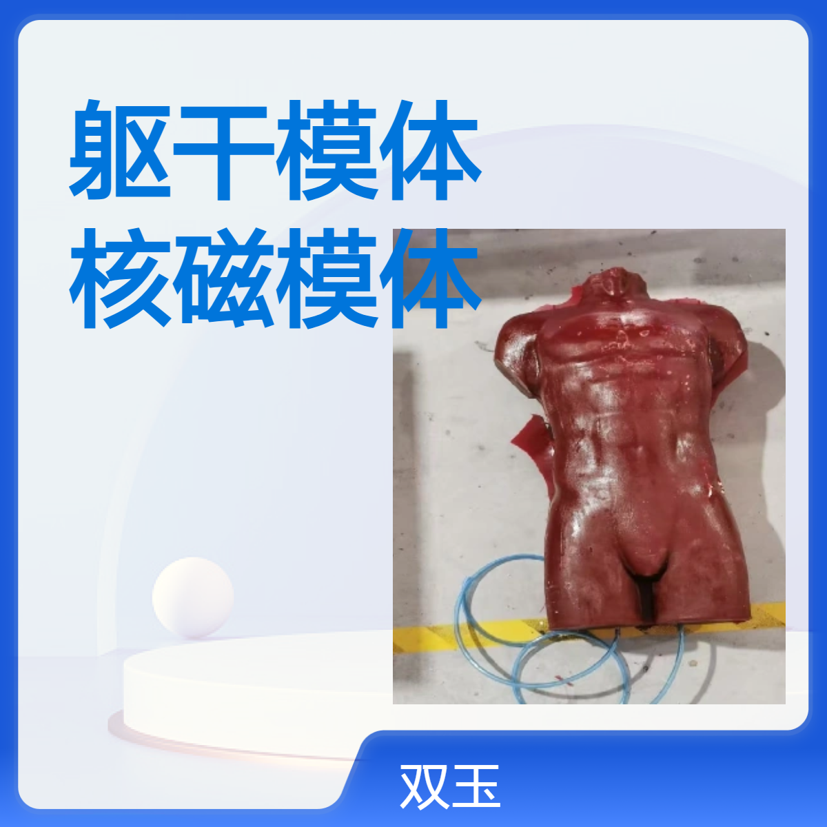 躯干模体CT扫描成像颈部和胸腔成像扫描核磁模体超声模体