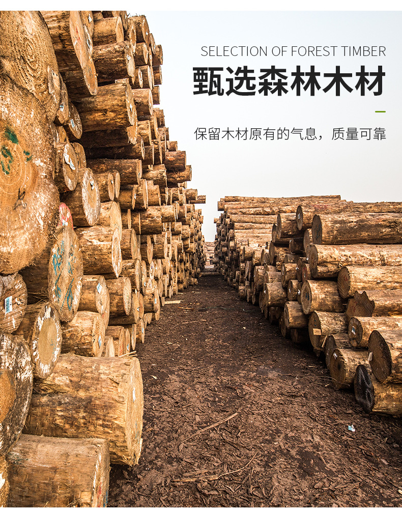 竹胶板-光面_04